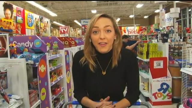 florida board bodily remedy license verification