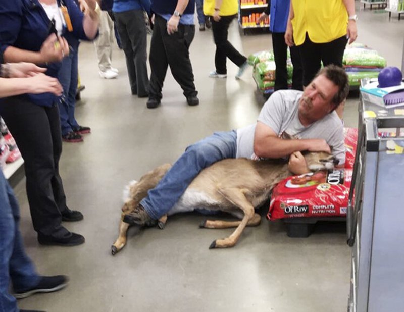 Unsuspecting Walmart customer takes down startled deer