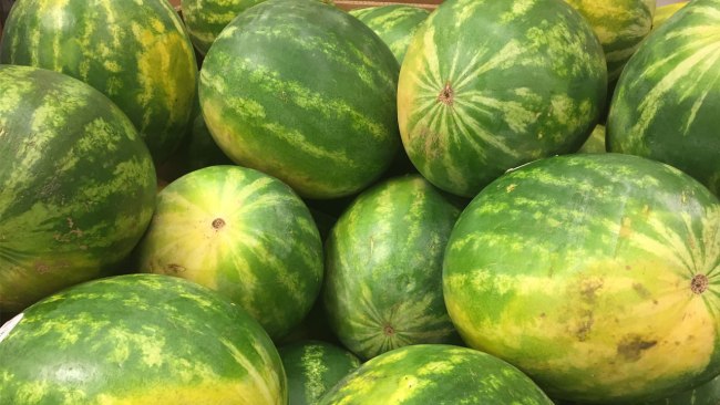 New Firefighter Reportedly Fired For Fringing A Watermelon To Station As Welcoming Gift